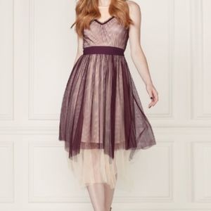 Beautiful mid length burgundy mesh dress